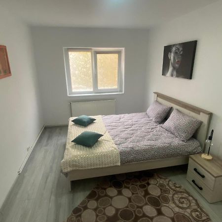 Apartment Dabic Remote And Fun Брашов Екстер'єр фото