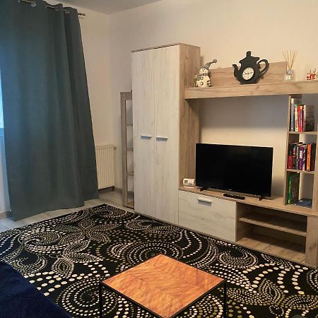 Apartment Dabic Remote And Fun Брашов Екстер'єр фото