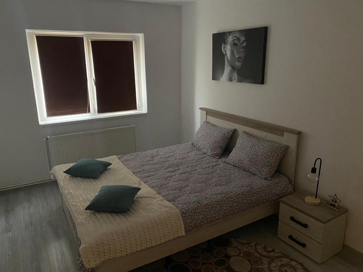 Apartment Dabic Remote And Fun Брашов Екстер'єр фото